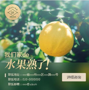 双辽果园果林小程序开发